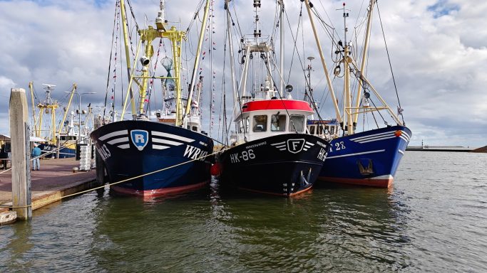 De Markt in Den Oever